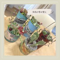 画像375